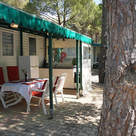Chalets Met Buitenkeuken Op Camping Lei Suves - Joycasa Roquebrune-sur Argens Esterno foto