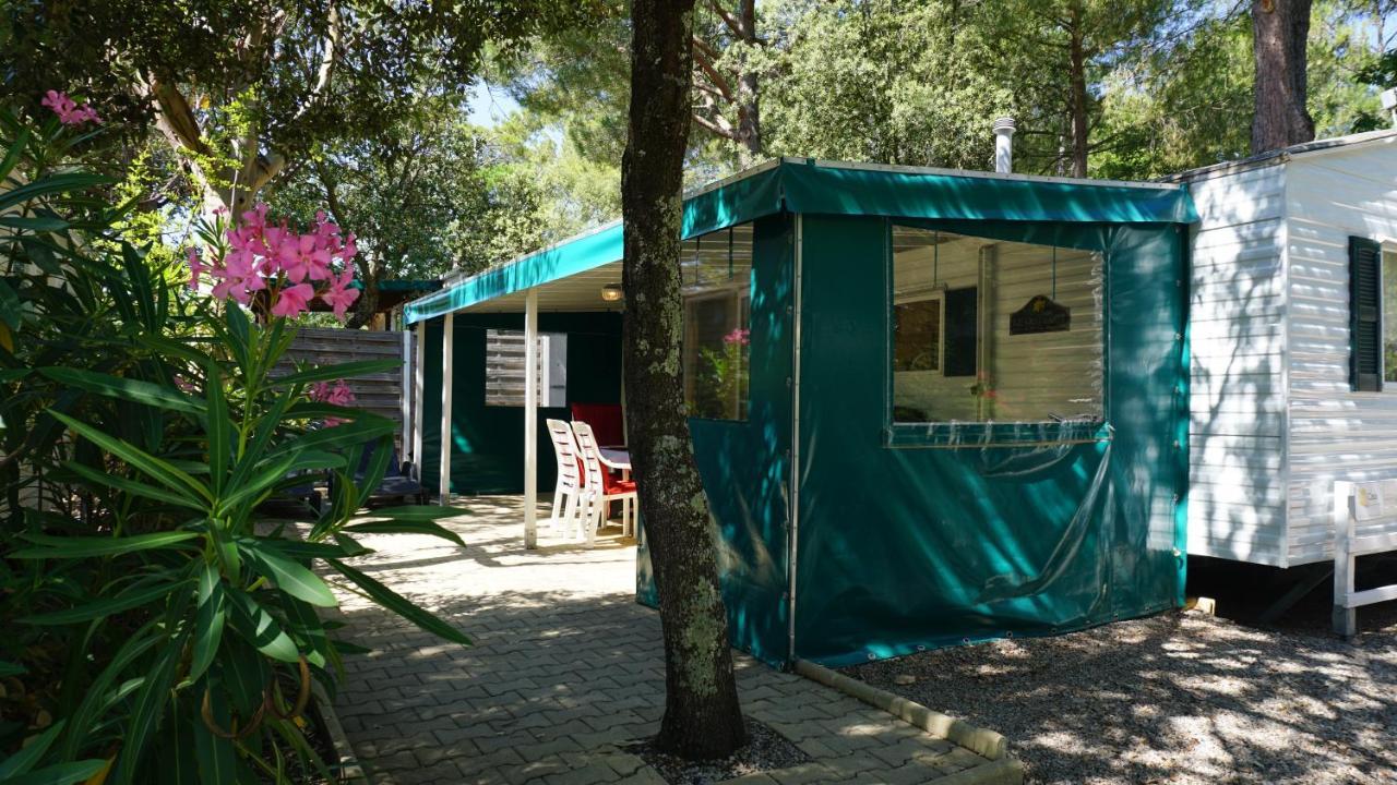 Chalets Met Buitenkeuken Op Camping Lei Suves - Joycasa Roquebrune-sur Argens Esterno foto
