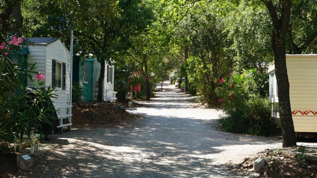 Chalets Met Buitenkeuken Op Camping Lei Suves - Joycasa Roquebrune-sur Argens Esterno foto