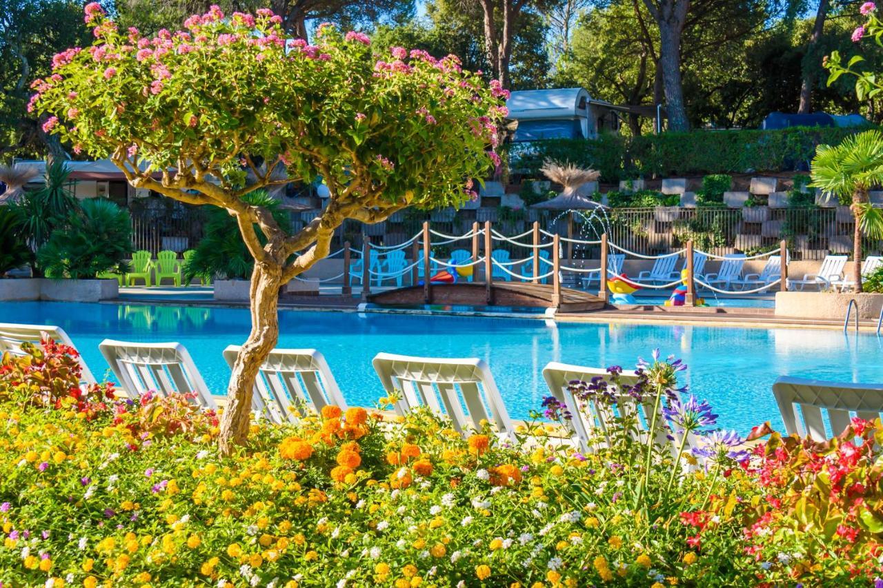 Chalets Met Buitenkeuken Op Camping Lei Suves - Joycasa Roquebrune-sur Argens Esterno foto